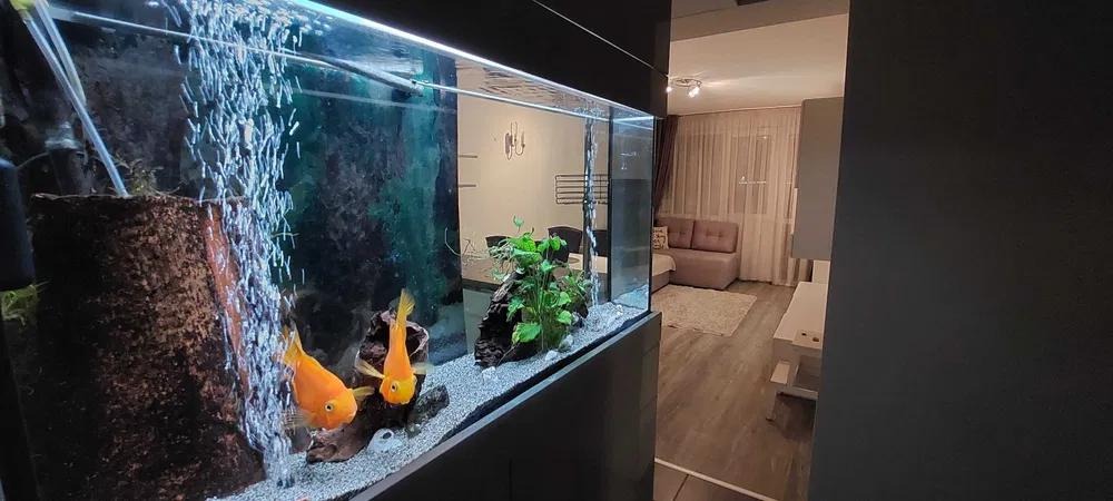 ���� ��� ���� 3-����� | Imot.bg � ����������� 4