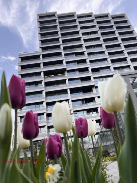 Lagerung Zentar, Sofia