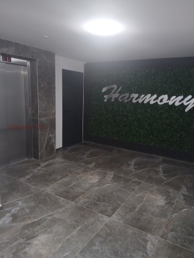 ����� ���� ��� ���� 3-�����,���� �����, ���������