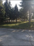 Под наем ПРОМ. ПОМЕЩЕНИЕ, град Шумен, Тракия • 2500 € • 80546420 — Holmes.bg