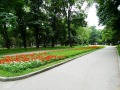 Под наем 3-СТАЕН, град Пловдив, Център • 1200 € • 97207115 — Holmes.bg