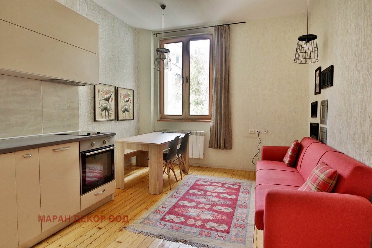 Дава под наем 2-СТАЕН, гр. София, Център, снимка 3 - Апартаменти - 53731048