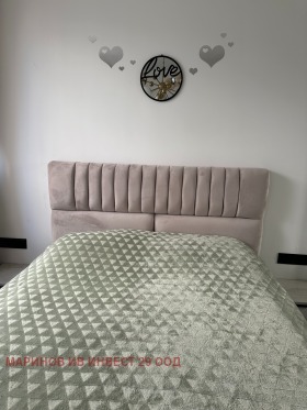 1 dormitor Crâstova vada, Sofia 11
