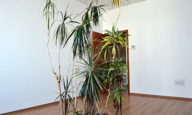 В аренду  Офис София , НПЗ Искър , 24 кв.м | 16961975 - изображение [3]