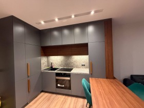 1 chambre Vitocha, Sofia