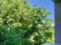 Дава под наем  2-стаен град София , Павлово , 60 кв.м | 91097437 - изображение [9]