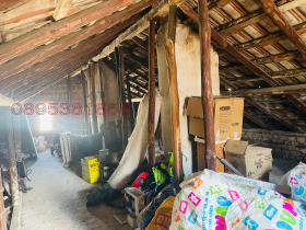 ������ ���� ��� ���� �����