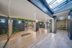 ����� ���� ��� ���� ����������,���� �����, �������