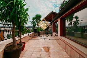 ������ ���� ��� ���� �������