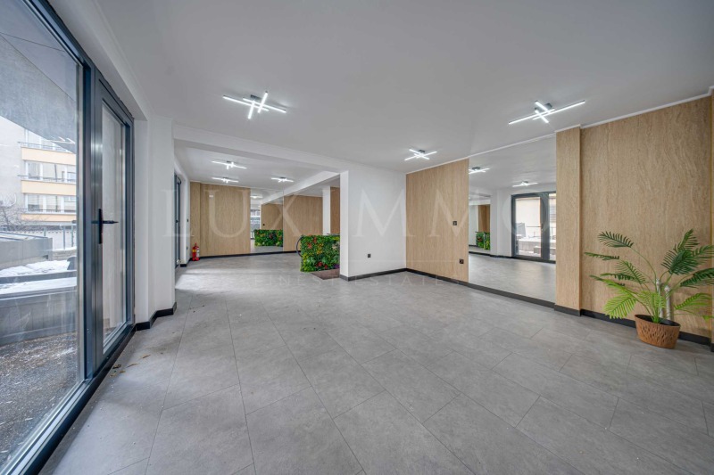 Дава под наем МНОГОСТАЕН, гр. София, Лозенец, снимка 7 - Апартаменти - 53464164