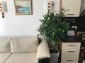 Дава под наем  2-стаен град София , Манастирски ливади , 52 кв.м | 94795041 - изображение [2]