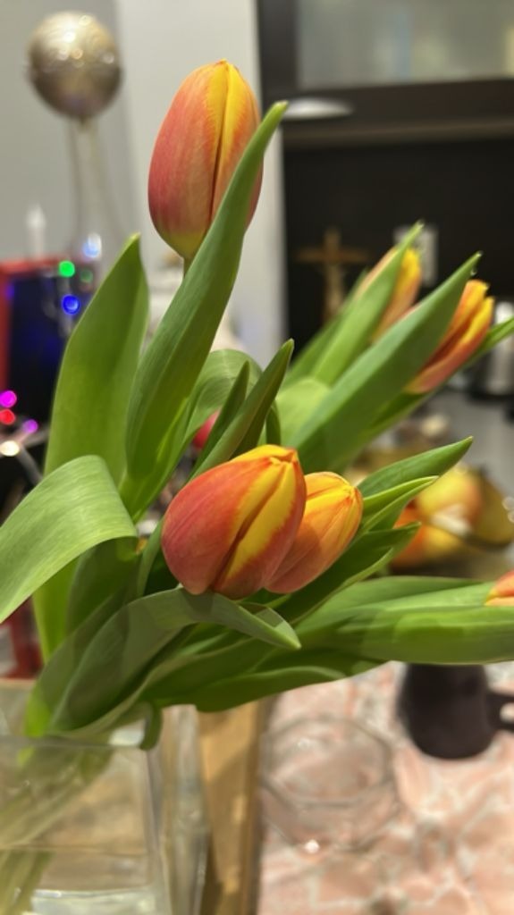 Дава под наем 3-СТАЕН, гр. София, Манастирски ливади