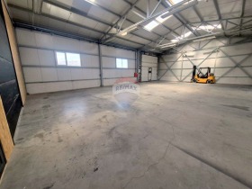 ����� ���� ��� ���� �����,���� �����, �. �������