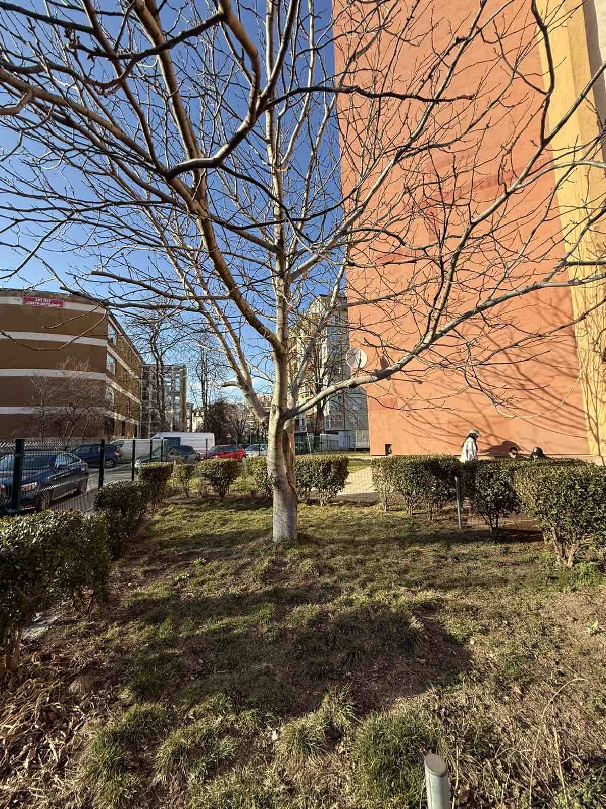 Дава под наем 1-СТАЕН, гр. София, Красно село, снимка 9 - Апартаменти - 53690349