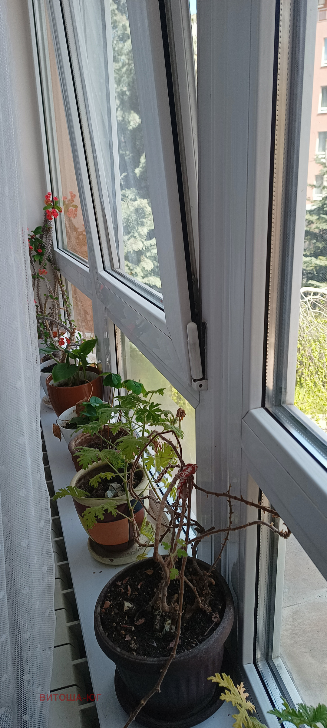 ���� ��� ���� 2-����� | Imot.bg � ����������� 8