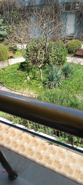 ������ ���� ��� ���� 2-�����