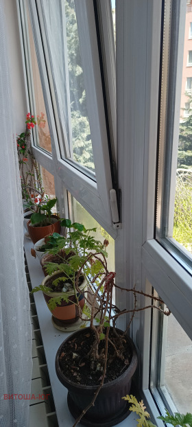 ���� ��� ���� 2-����� | Imot.bg � ����� ������ 8