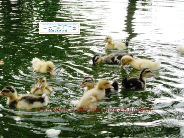 Дава под наем ПРОМ. ПОМЕЩЕНИЕ, гр. Плевен, Индустриална зона