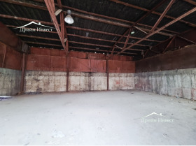 ����� ���� ��� ���� �����,���� �������, ������������ ���� - �����