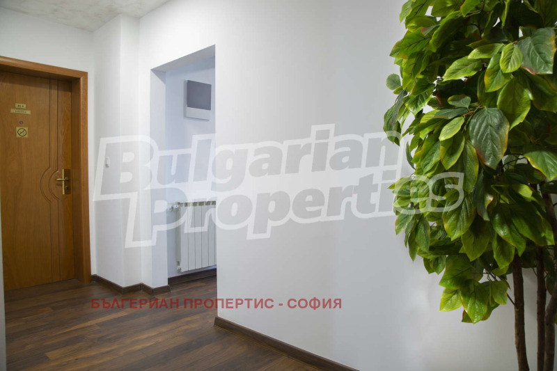 Do wynajęcia  3+ sypialni Sofia , Witosza , 213 mkw | 63897676 - obraz [14]