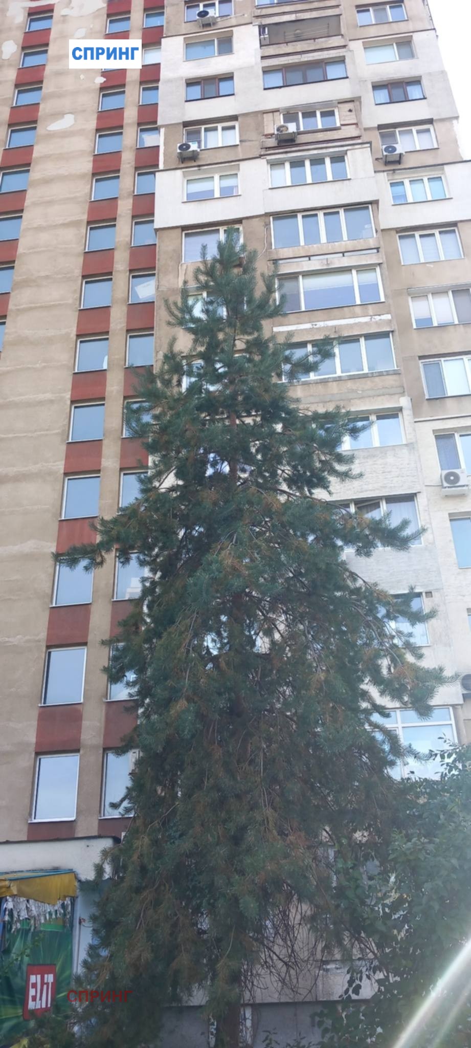 Дава под наем  1-стаен град София , Люлин 3 , 50 кв.м | 34711484