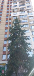 Дава под наем  1-стаен град София , Люлин 3 , 50 кв.м | 34711484