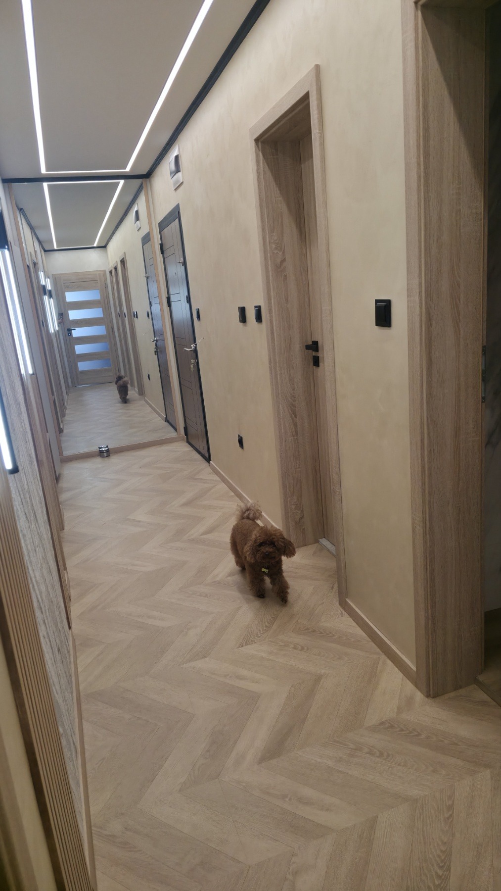 ���� ��� ���� 3-����� | Imot.bg � ����������� 5