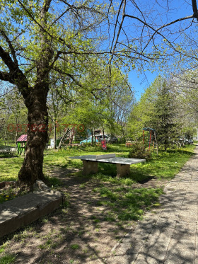 ������ ���� ��� ���� 2-�����