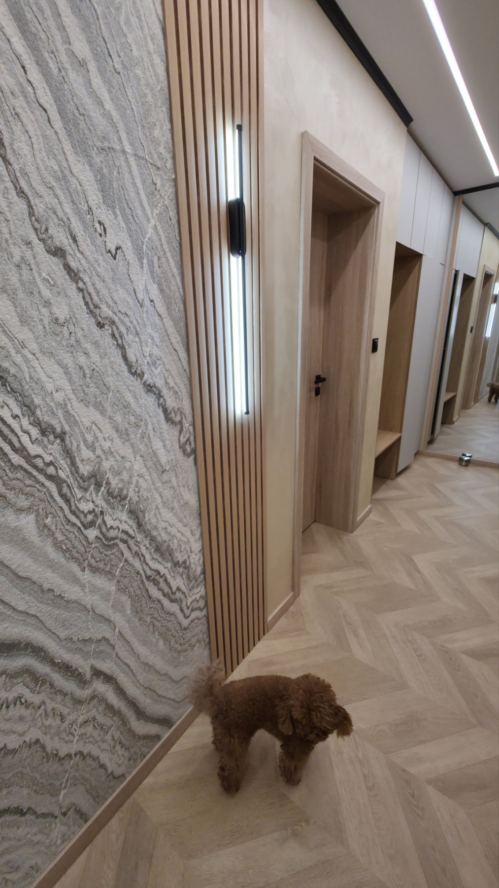 Дава под наем 3-СТАЕН, гр. София, Бъкстон, снимка 7 - Апартаменти - 54090706