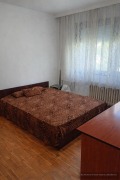 Дава под наем МНОГОСТАЕН, гр. Пловдив, Тракия, снимка 3