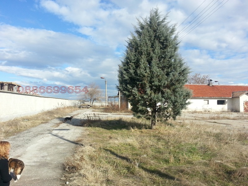 Дава под наем ПРОМ. ПОМЕЩЕНИЕ, с. Ново село, област Пловдив, снимка 2 - Производствени сгради - 52786139
