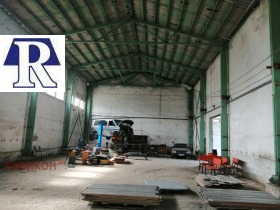 ������ ���� ��� ���� ����. ���������