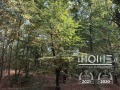 Под наем ЕТАЖ ОТ КЪЩА, град София, Лозенец • 800 € • 24051001 — Holmes.bg