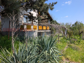 ����� ���� ��� ���� ����,���� ����, ��������