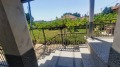 Под наем КЪЩА, област Пловдив, с. Скутаре • 1250 € • 41183542 — Holmes.bg