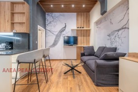 1 slaapkamer Tsentar, Sofia