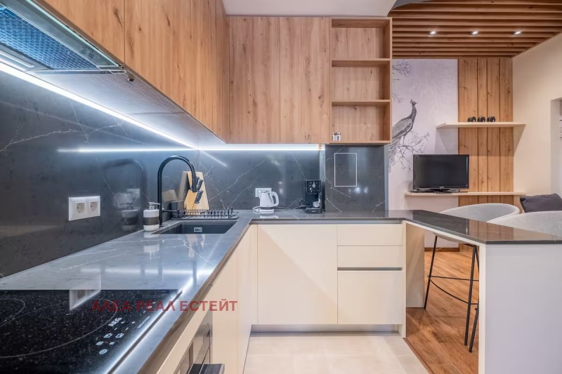 Te huur  1 slaapkamer Sofia , Tsentar , 55 m² | 47645901 - afbeelding [5]