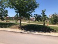 Дава под наем ЕТАЖ ОТ КЪЩА, гр. Божурище, област София област, снимка 2
