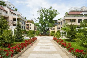    3- | Imot.bg    8