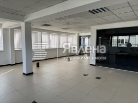 Γραφείο ΤΣενταρ, Σοφηια