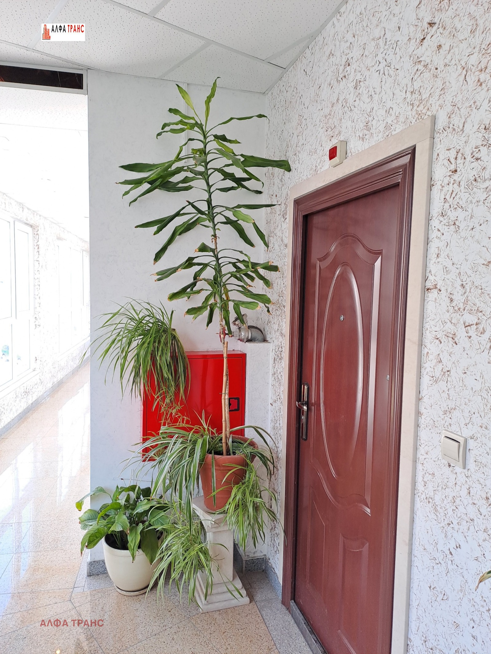 Дава под Наем ОФИС | Imot.bg — изображение 2