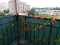 Дава под наем  2-стаен град София , Овча купел 2 , 60 кв.м | 52323367 - изображение [9]