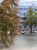 Дава под наем ОФИС, гр. Пазарджик, Център, снимка 6