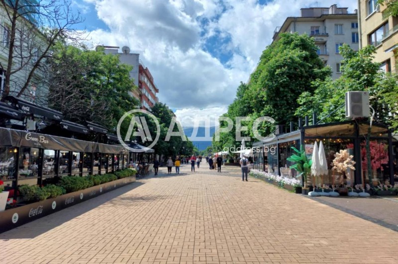 Te huur  1 slaapkamer Sofia , Tsentar , 85 m² | 63318370 - afbeelding [2]