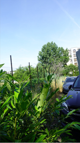 ���� ��� ���� ��������� �������� | Imot.bg � ����� ������ 10