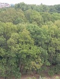 Под наем 2-СТАЕН, град София, Стрелбище • 690 € • 75997172 — Holmes.bg