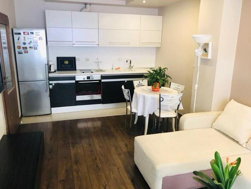 Дава под наем 2-СТАЕН, гр. София, Бъкстон, снимка 2 - Апартаменти - 54047574