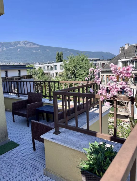 Дава под наем 2-СТАЕН, гр. София, Витоша, снимка 8 - Апартаменти - 52737285