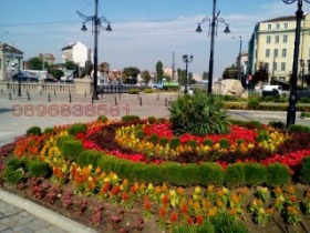 ���� ��� ���� 2-����� | Imot.bg � ����� ������ 17