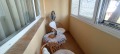 Под наем 2-СТАЕН, град София, Изток • 680 € • 77117547 — Holmes.bg